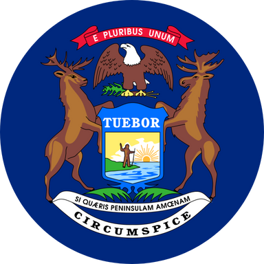 MI state flag